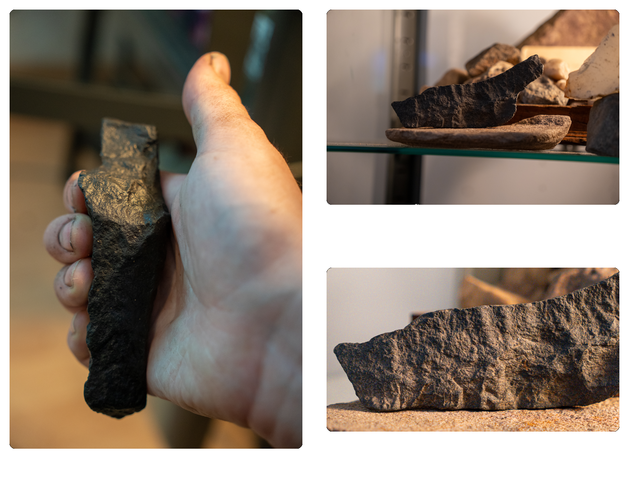 Collage des Schildkr&ouml;tenmotivs und seiner Einbettung in der Hand