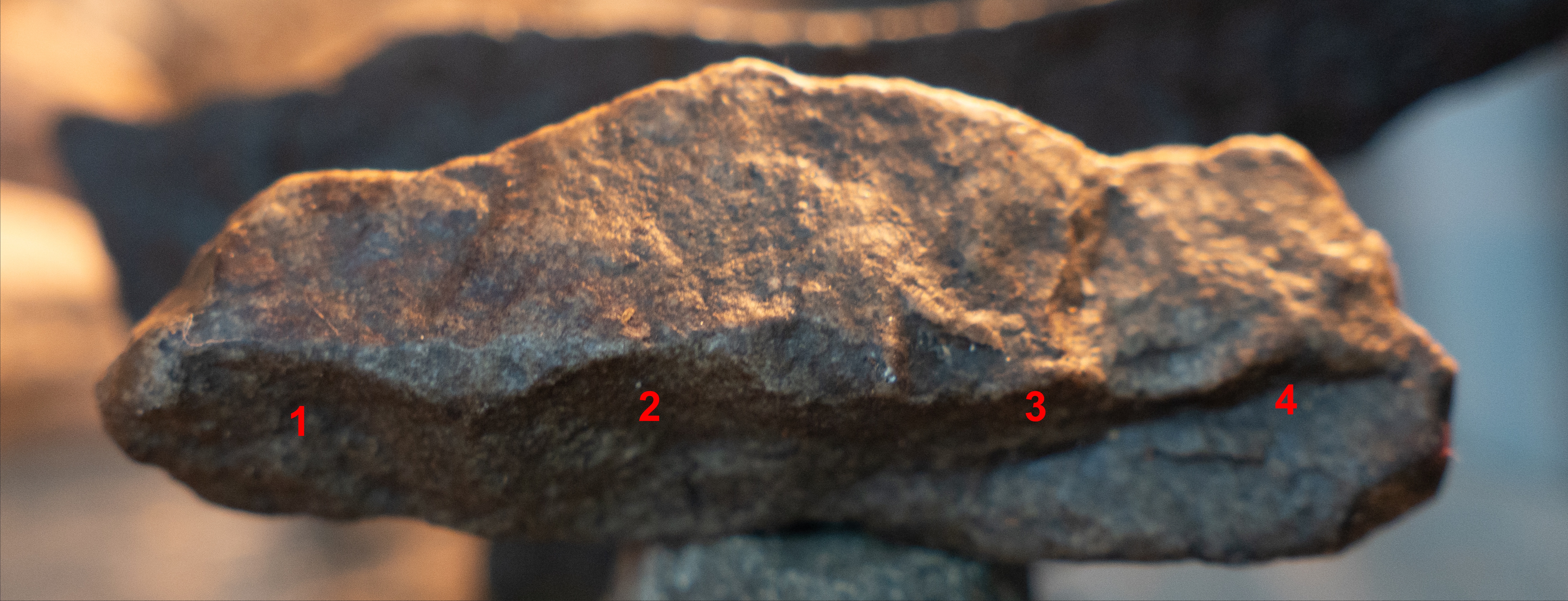 Exemplar 3