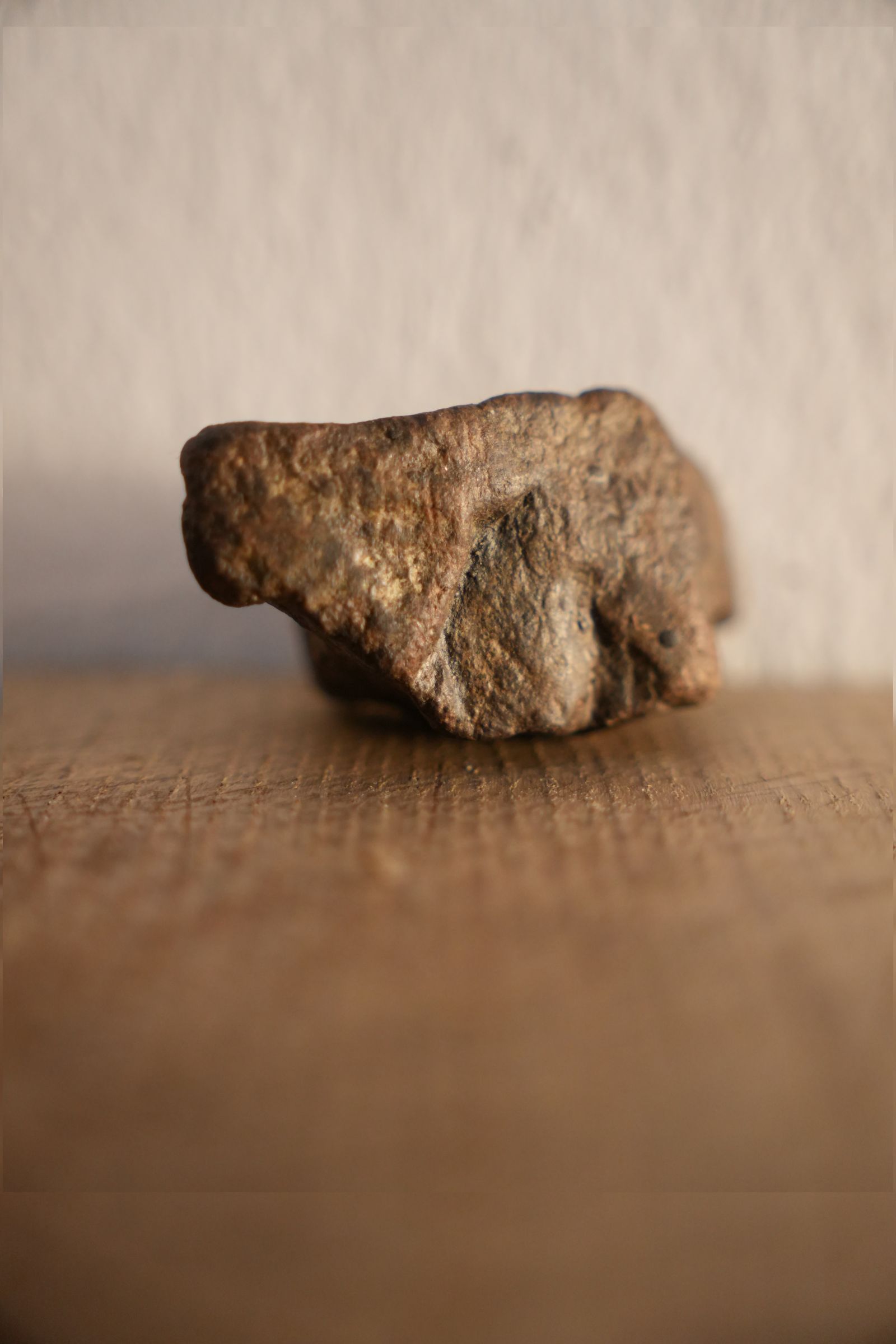 Versteinerte Holzfigur von Hirschkuh
